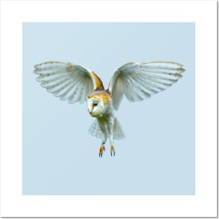 Hovering Barn Owl Posters and Art